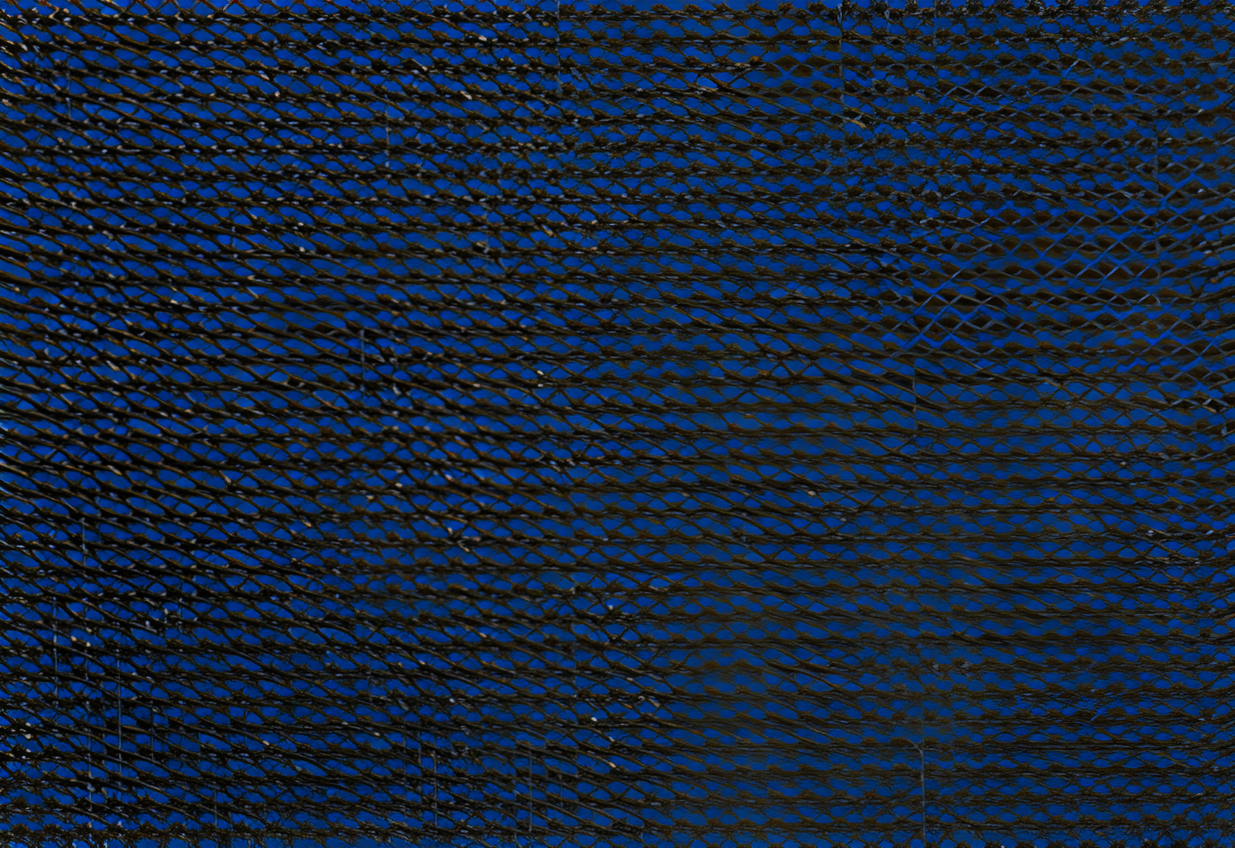 Gli 14 X 28 - Blue Mesh Safety Cover With 4 X 8 Center End Step 16 X 30 - Cover Size 20-1428RE-CES48-SAP-BLU - product image
