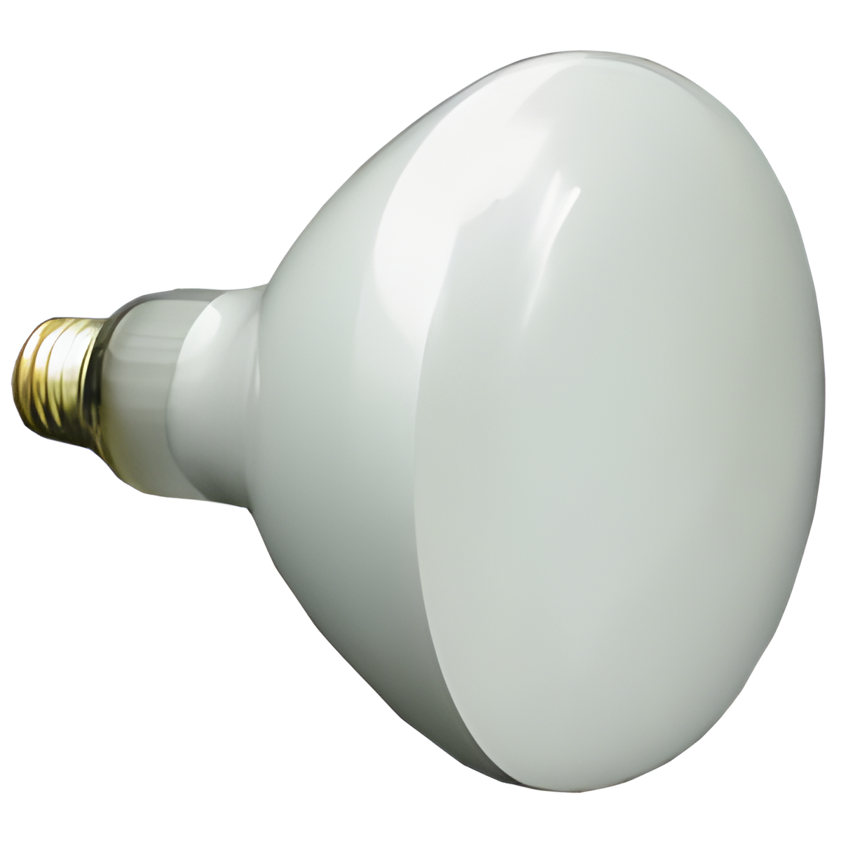 Halco Lighting Technologies Lamp, 500 W E26 Medium Screw R40 99 5400 Lumens Incandescent 35° Flood Universal 104042