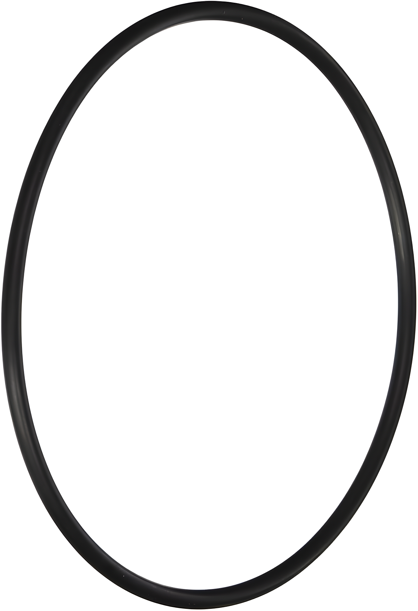 Hayward Leaf Canister O Ring | AXW542