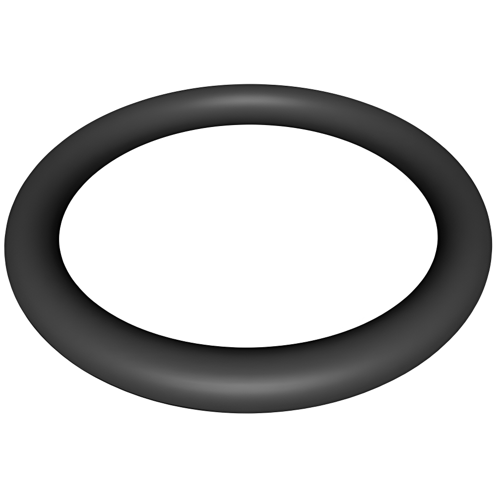 Hayward Star-Clear Plus Knob O-Ring CX900H
