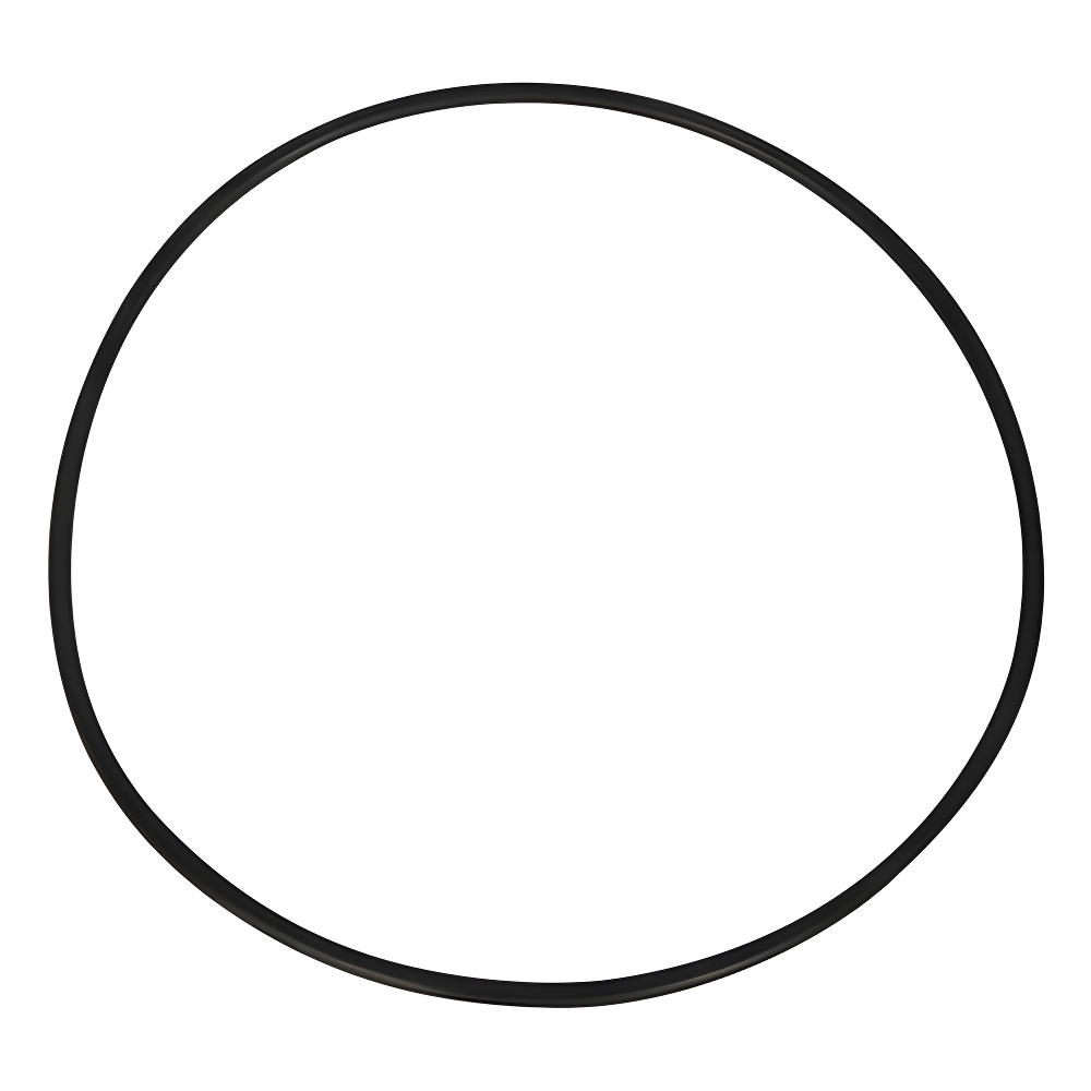Hayward O-Ring For Filter Head CXFHR1001