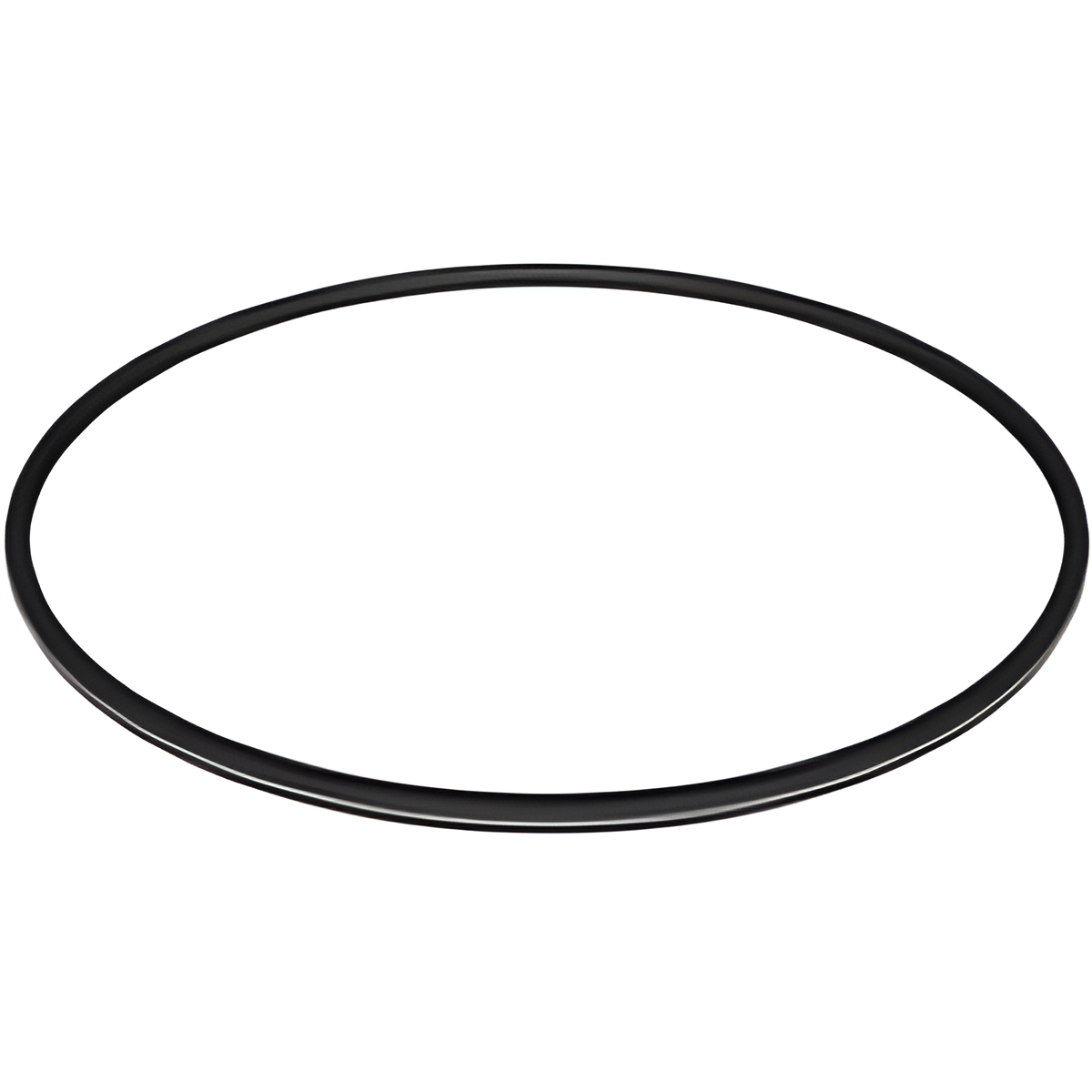 Hayward Metal-Reinforced Filter O-Ring Seal | DEX2422Z2