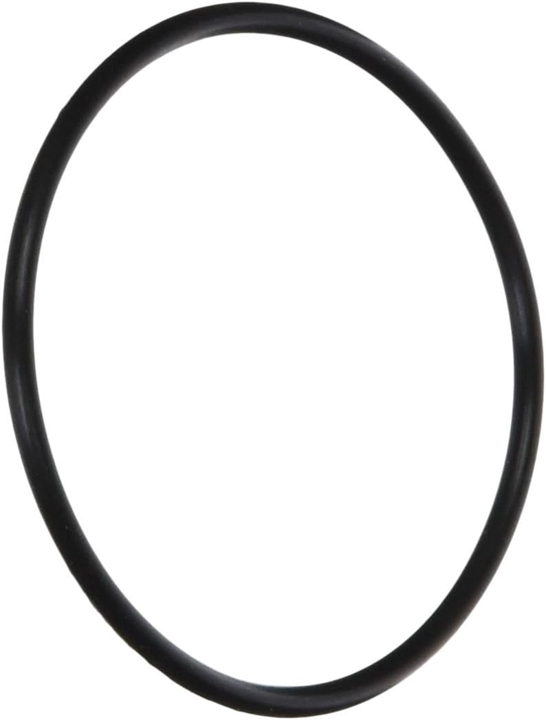 Hayward Gauge Adapter O-Ring | ECX1287