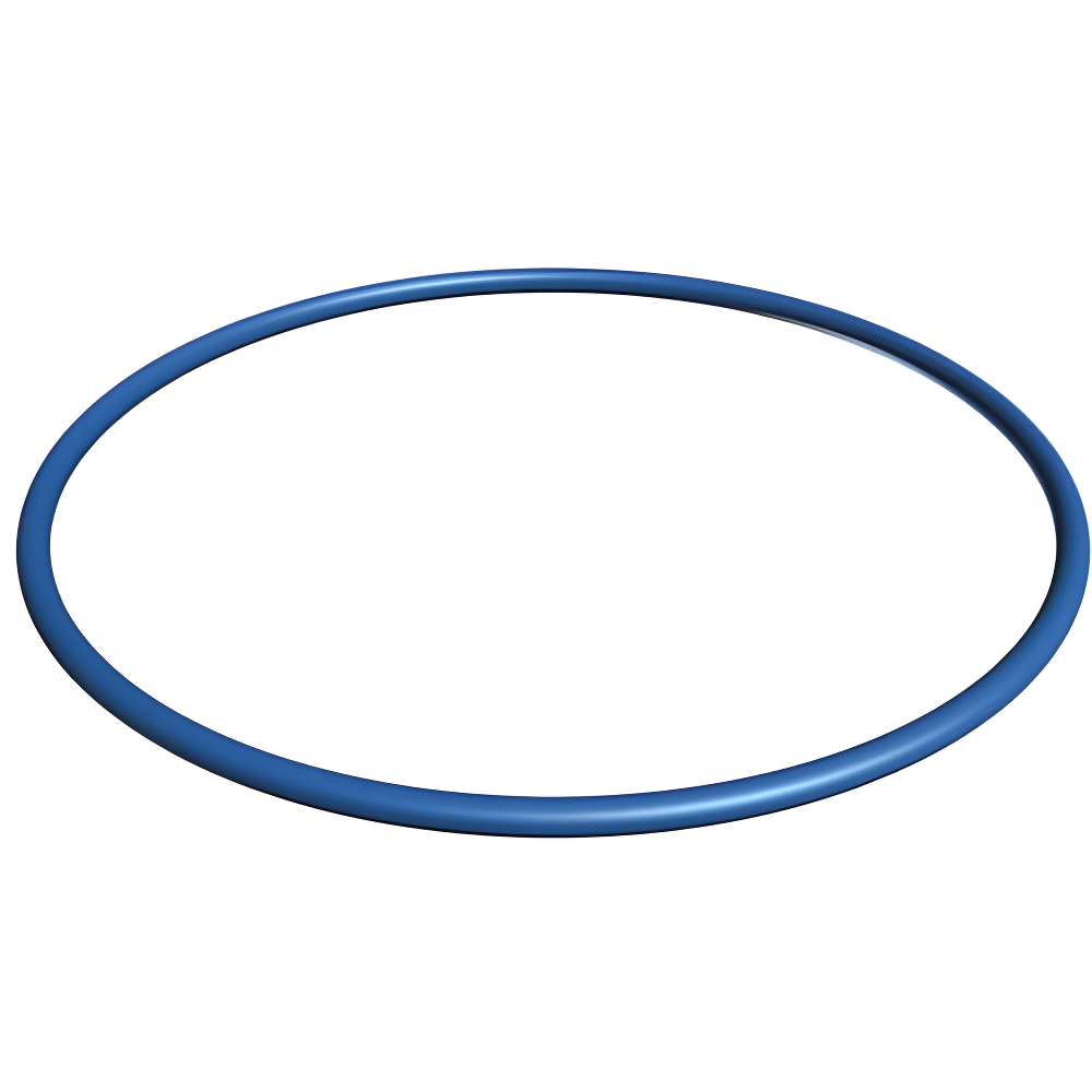 Hayward Valve/ Tank O-Ring | GMX600F