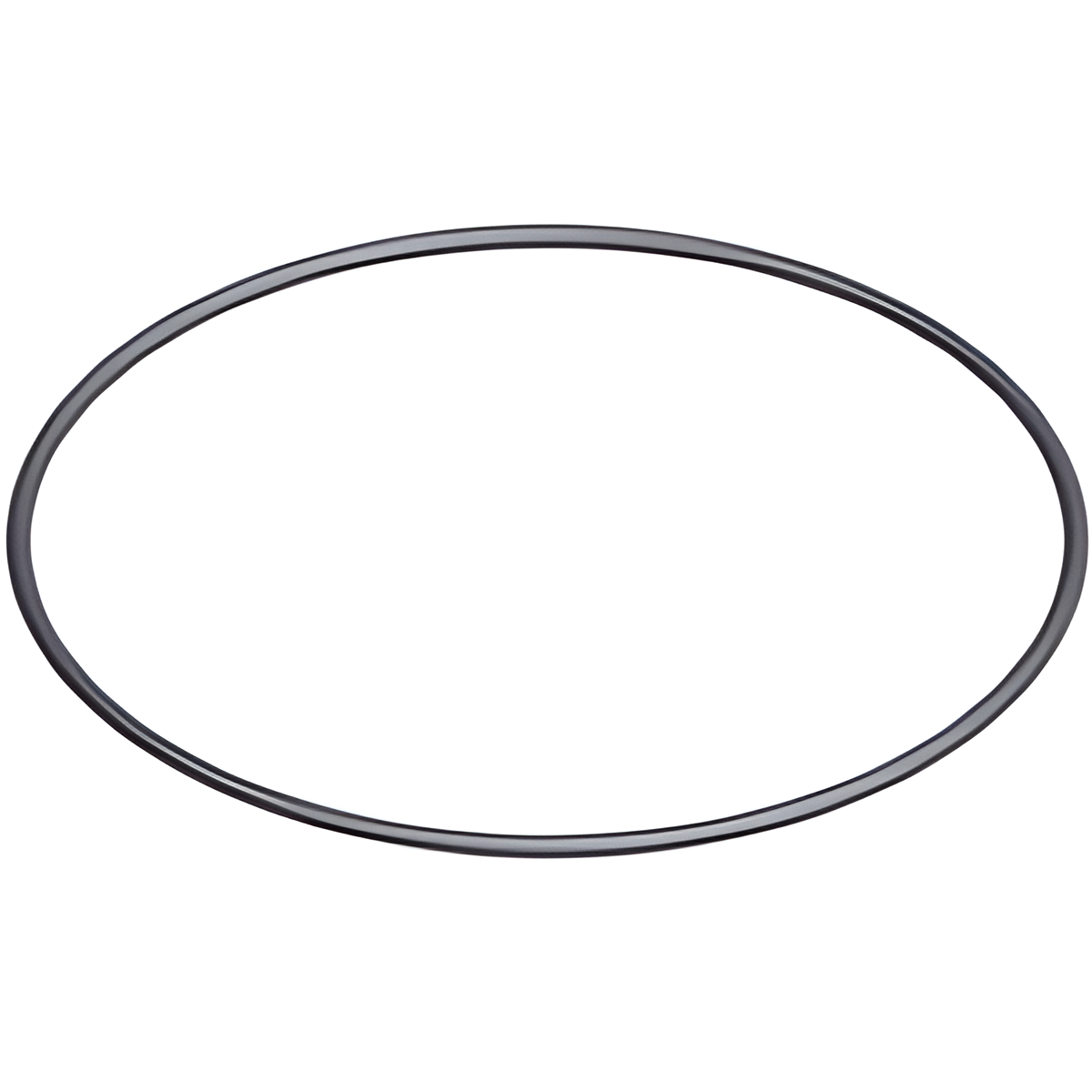 Hayward VariFlo Cover O-Ring | SPX0715Z1