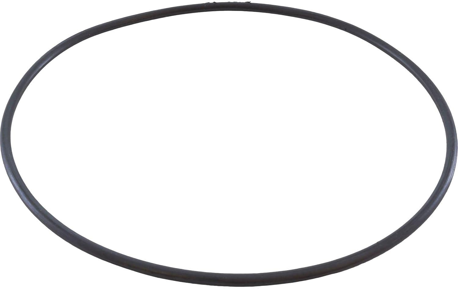 Hayward PowerFlo Housing O-Ring | SPX1580Z1