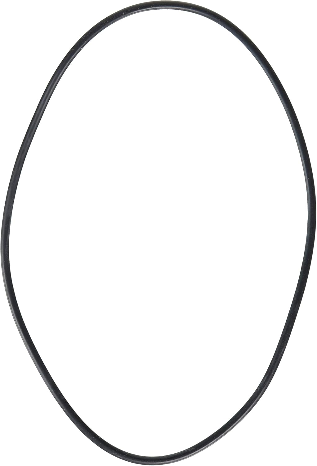 Hayward Housing O-Ring Gasket | SPX1705Z1