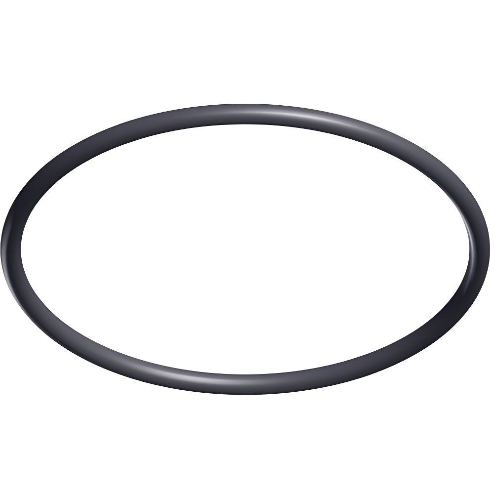 Hayward O-Ring-Strainer Cover For TriStar and EcoStar Pumps | SPX3200S - product image