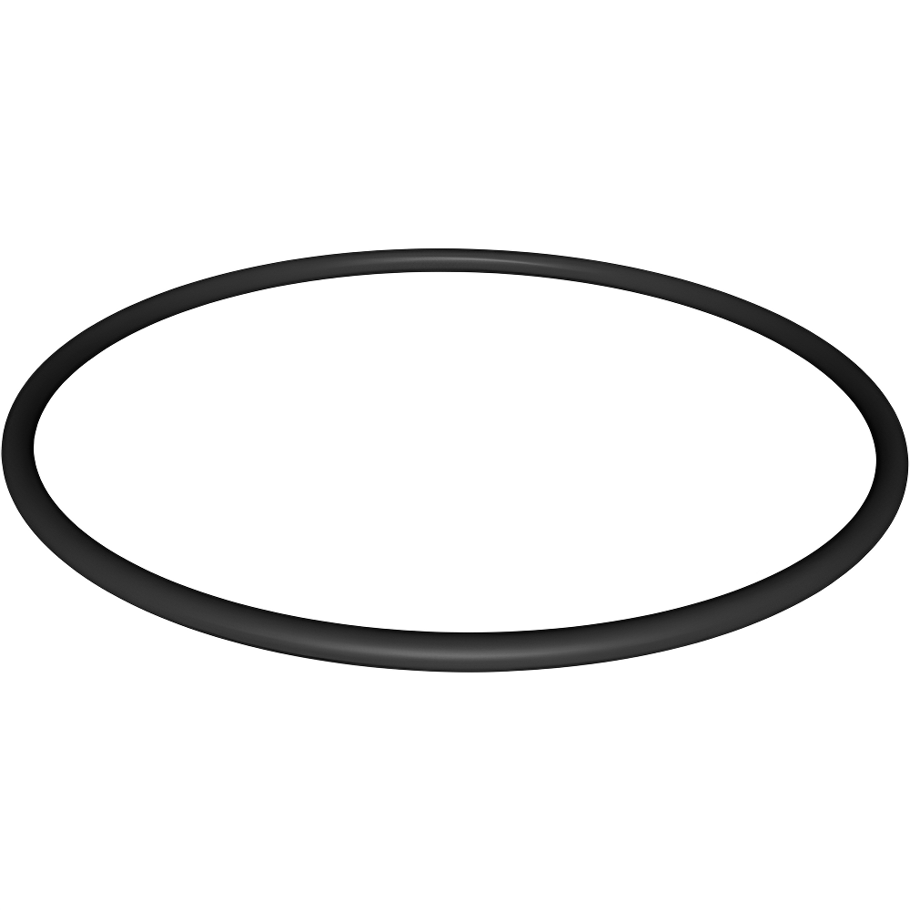 Hayward Northstar Strainer Cover O-Ring | SPX4000S