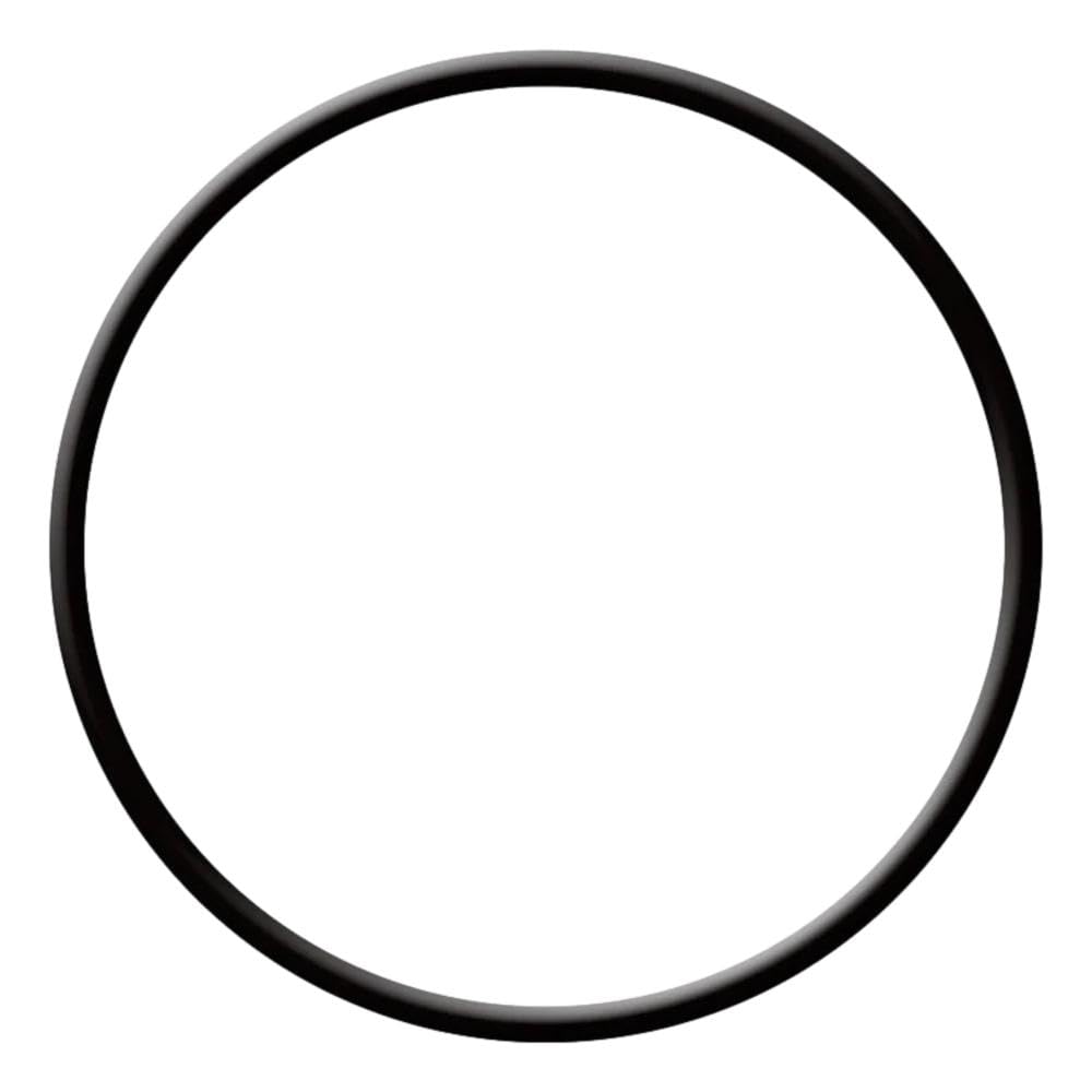 Hayward Filter O-Ring | SX200Z3