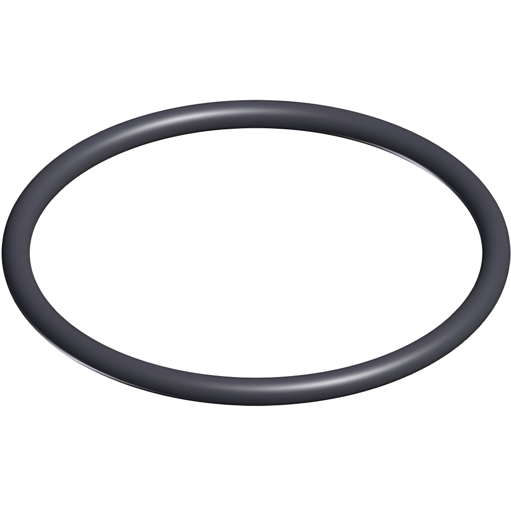 Hayward Valve O-Ring, 2-Pack | SX200Z4PAK2