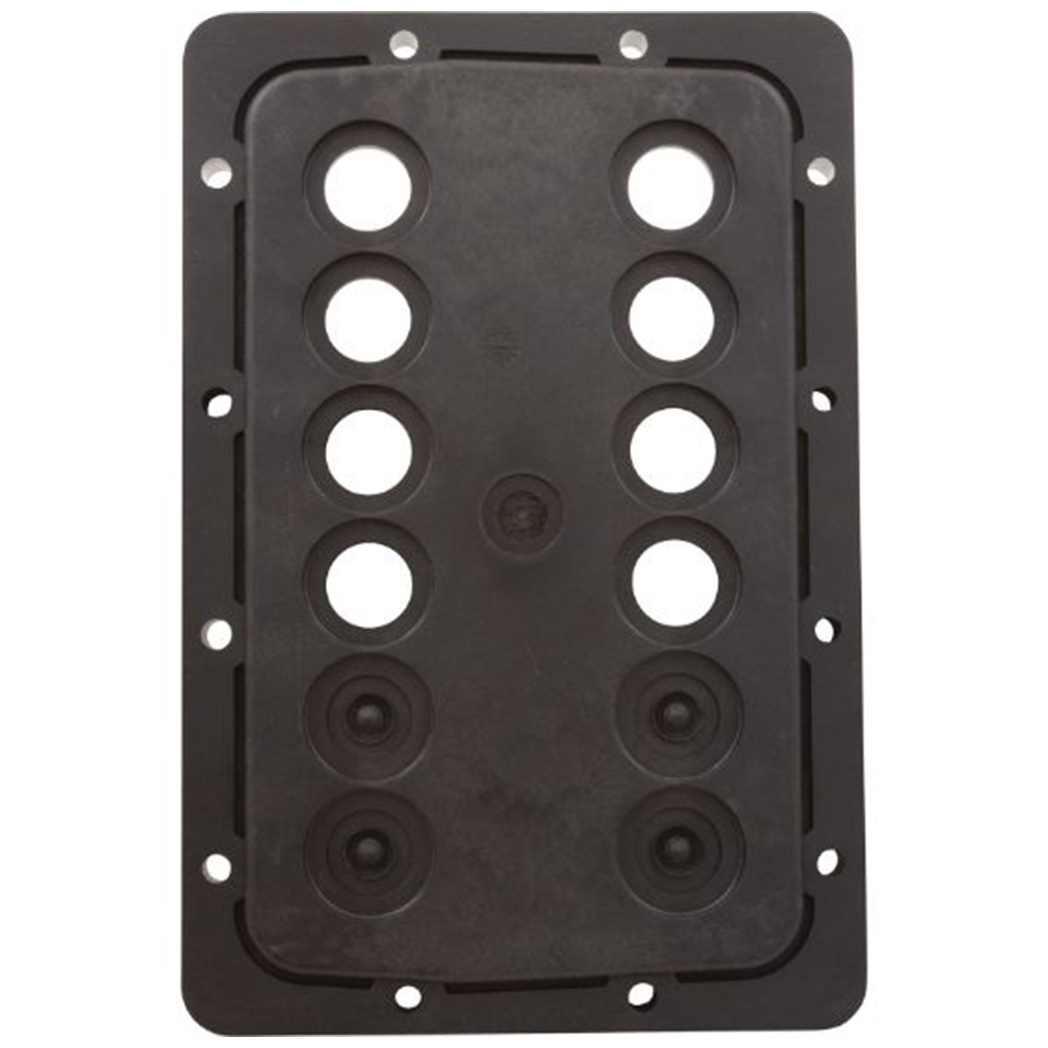 Jandy Pro Series Manifold Backplate, | R0590003