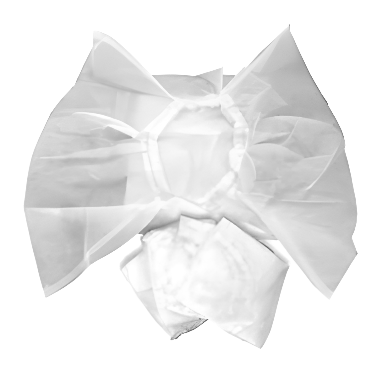 Maytronics Dolphin Small Disposable Filter Bag, 2-Pack | 9991440-R2