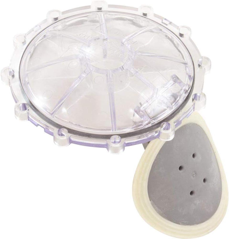 Pentair Check Valve Flapper Replacement Kit | 270119Z