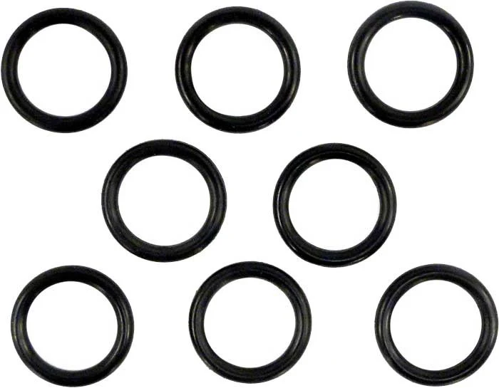 Pentair Coil / Tubesheet Sealing O-Ringkit 250 | 460749 - product image