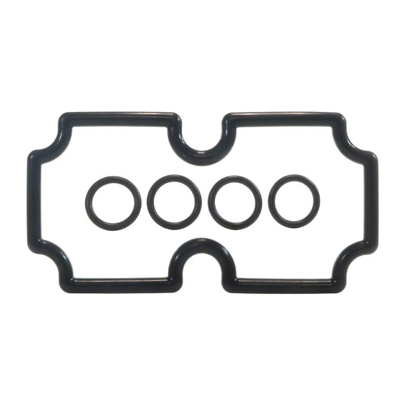 Pentair O-Ring Kit Mt125 | 474973