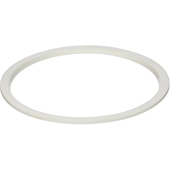 Pentair Pentair AquaLumin Pool/Spa Light Silicone Lens Seal | 78880200