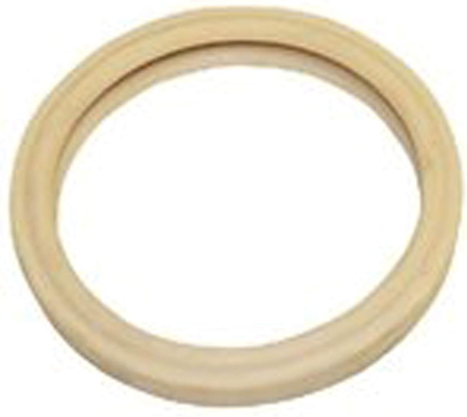 Pentair Gasket Lens Sb/Aq 4" | 79108500Z