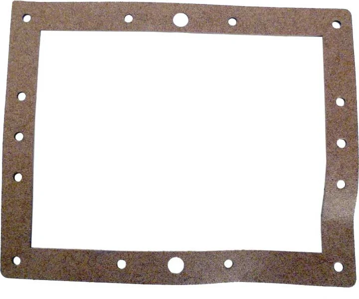 Pentair Gasket Front | 81111800