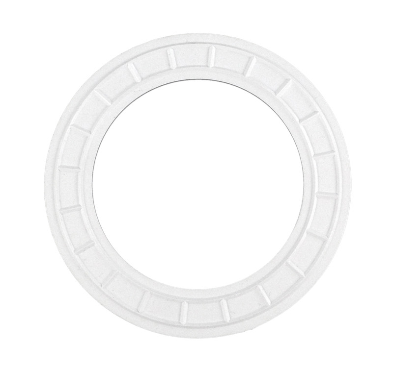 Pentair RNG Friction SIF | 87200700 - product image