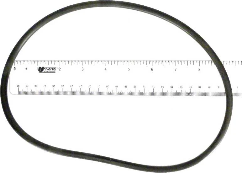 Pentair O-Ring | U9-171