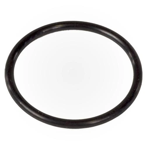 Polaris O-Ring WMS Upper to Vactube Interface | R0544000