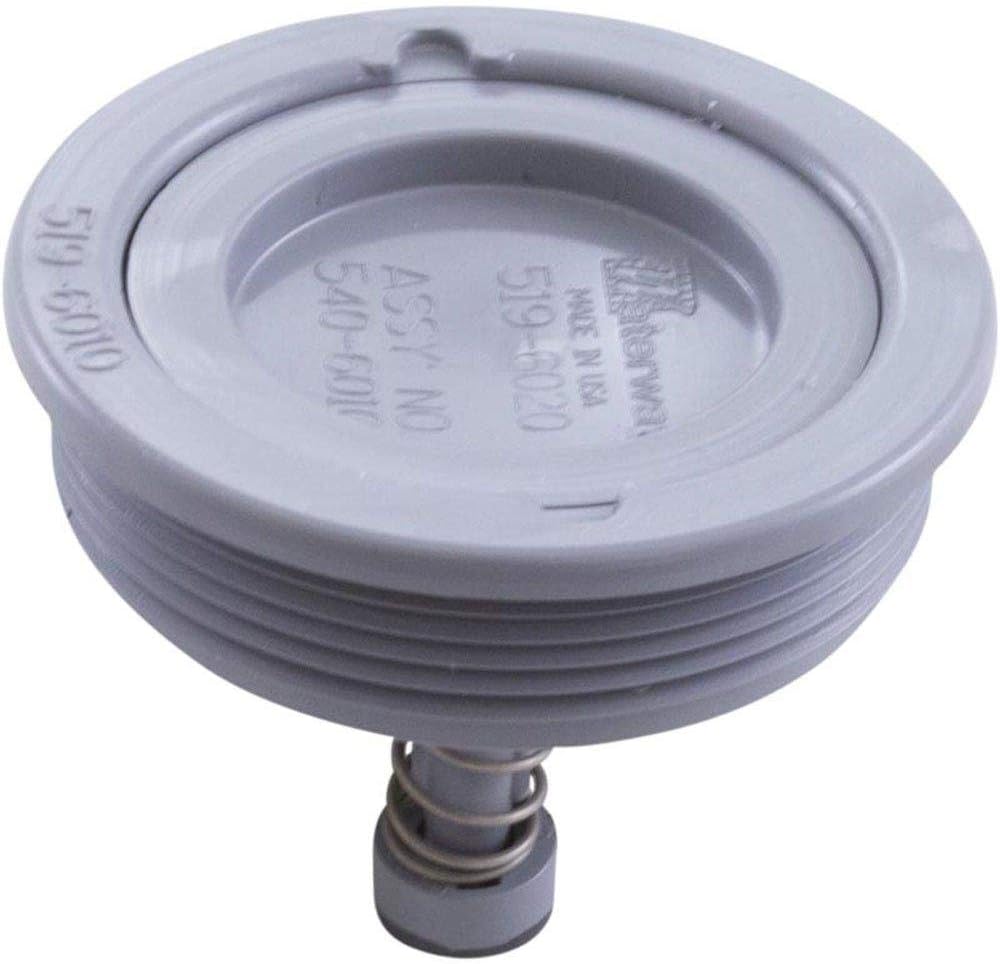 Waterway Renegade Gunite Skimmer Equalizer Valve, White | 540-6010