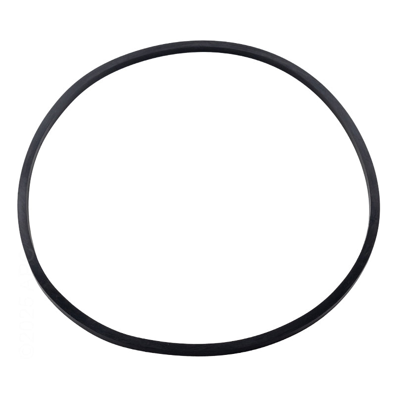 Sta-Rite Max-E-Pro/IntelliPro Seal Plate Square O-Ring | 357099z - product image