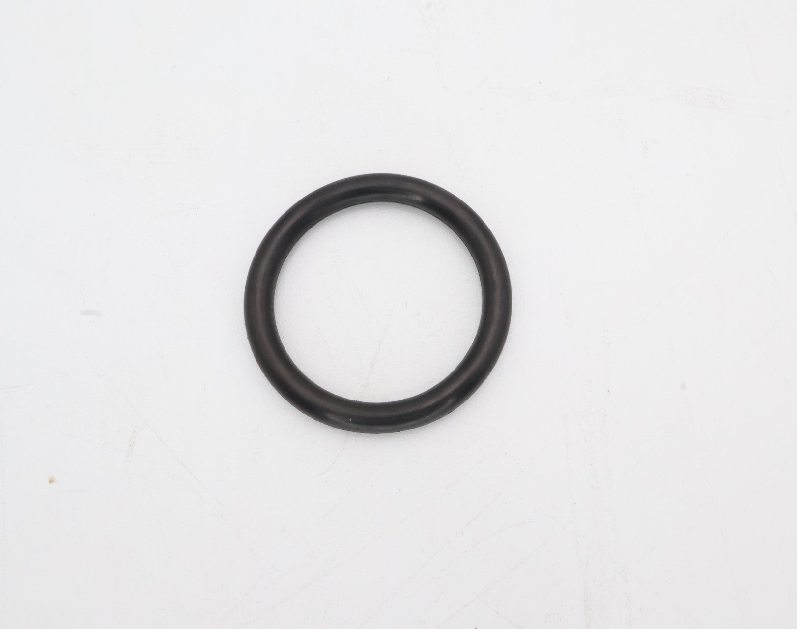 Pentair Drain Plug O-Ring for Clean & Clear Plus, Clean & Clear/Predator and FNS Plus Filters | 51005000